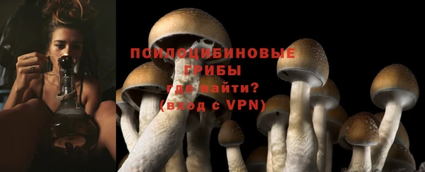 первитин Новозыбков