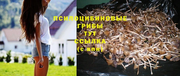бошки Нязепетровск