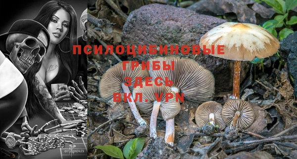 мяу мяу кристалл Няндома