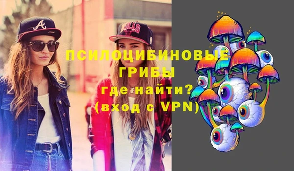 первитин Новозыбков