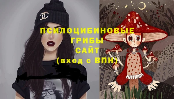 первитин Новозыбков