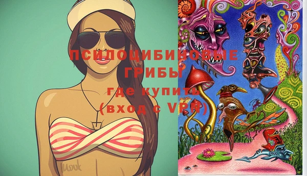 дмт Нягань