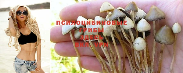 первитин Новозыбков