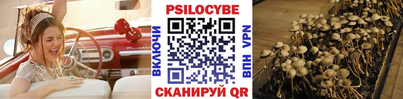 нарко площадка как зайти  купить наркоту  Ярославль  Псилоцибиновые грибы прущие грибы  kraken зеркало 