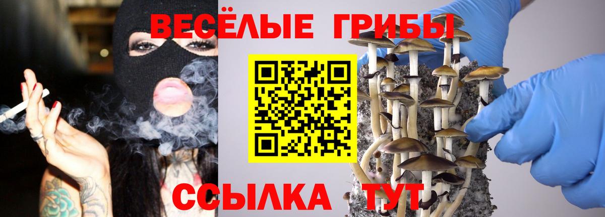 Псилоцибиновые грибы Magic Shrooms Ярославль