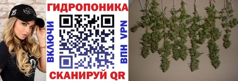 цены наркотик  Ярославль  Марихуана семена 